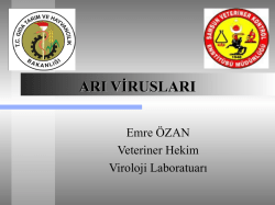 Arı Virusları