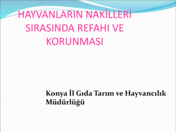 Nakliye - Konya İl Gıda Tarım ve Hayvancılık M&uuml;d&uuml;rl&uuml;ğ&uuml;