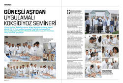 SeMineR - G&uuml;neşli Aşı