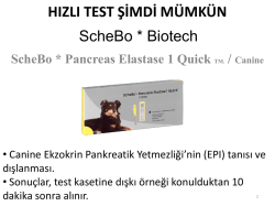ScheBo R * Pancreas Elastase 1 Quick TM Canine