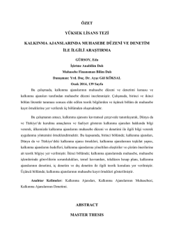 Kalkınma Ajanslarında Muhasebe D&uuml;zeni ve Bir Uygulama &Ouml;rneği
