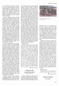 TDV DIA - İslam Ansiklopedisi