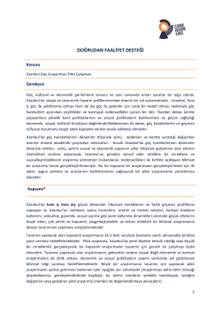 DOĞRUDAN FAALİYET DESTEĞİ - İstanbul Kalkınma Ajansı