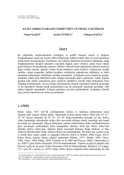 &Ouml;ZET 1. GİRİŞ - Yakın Doğu &Uuml;niversitesi