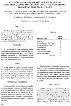 Tam Metin (PDF)