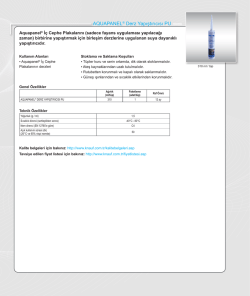 AQUAPANEL&reg; Derz Yapıştırıcısı PU