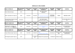 2014 yılı performans programı &uuml;styapı