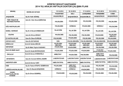 HAFTALIK DOKTOR &Ccedil;ALIŞMA PLANI.Krp
