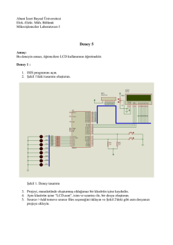 deney5 f&ouml;y&uuml; - Alper BAYRAK - Abant İzzet Baysal &Uuml;niversitesi