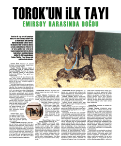 EMiRSOY HARASINDA DOĞDU