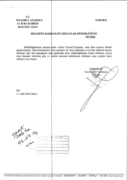 T.c. İSTANBUL ANADOLU 13. ICRA DAIREsI 2014/11033 EsAs