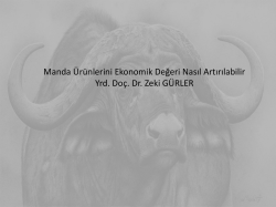 Manda &Uuml;r&uuml;nleri