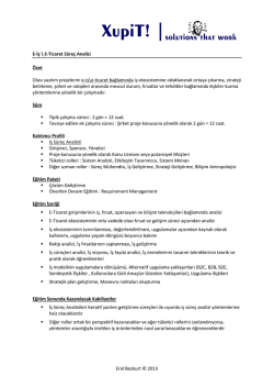 E-İş Modeli Geliştirme