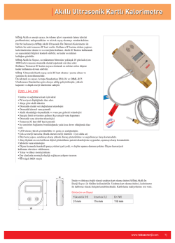 Tebas katalog tasarım