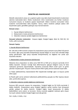 DENEYİN ADI: MAKROSKOBİ