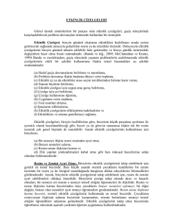 ETKİNLİK &Ccedil;İZELGELERİ G&ouml;rsel destek sistemlerinin bir par&ccedil;ası olan