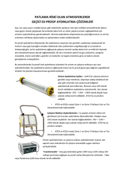 patlama riski olan atmosferlerde ge&ccedil;ici ex