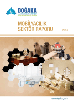 mobilyacılık sektör raporu