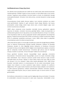 Ortaya-Cikis