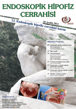 FIZ I-IISI ENDSKIK I-II