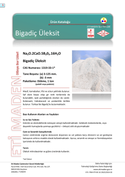 Bigadi&ccedil; &Uuml;leksit - Eti Maden İşletmeleri