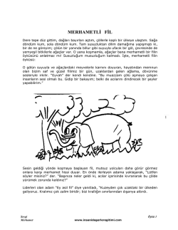 MERHAMETLİ FİL