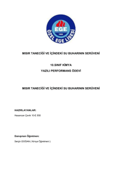 Devamı i&ccedil;in&hellip; - &Ouml;zel Ege Lisesi