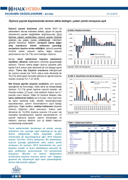 EKONOMİK DEĞERLENDİRME - B&Uuml;Y&Uuml;ME &Uuml;&ccedil;&uuml;nc&uuml;