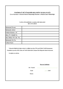 Tatil Beyannamesi (PDF)