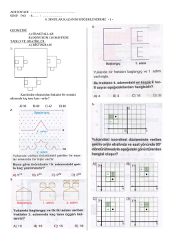 SINIF KAZANIM DEĞERLENDİRME (Fraktal, Yansıma ve Histogram)