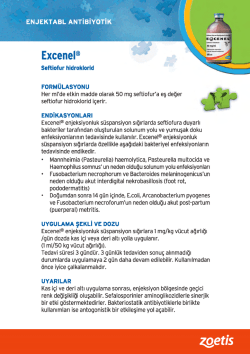 Excenel&reg; - ViDizayn