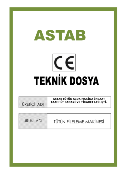 ce_test raporu