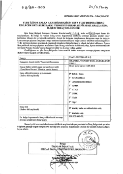 YURT İ&Ccedil;İNDE HALKA ARZ EDİLMEKSİZİN vEYA YUnT DIŞINDA