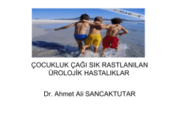 İnmemiş testis