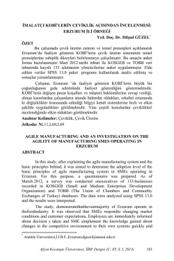 pdf dosyası - Afyon Kocatepe Üniversitesi İktisadi ve İdari Bilimler