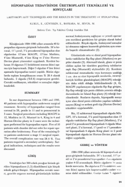 Tam Metin (PDF)