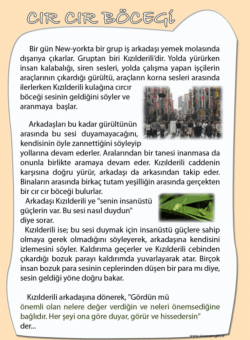 Cırcır Böceği ve Kızılderili