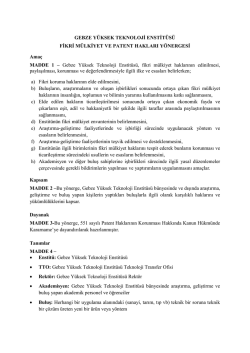 GEBZE Y&Uuml;KSEK TEKNOLOJİ ENSTİT&Uuml;S&Uuml;