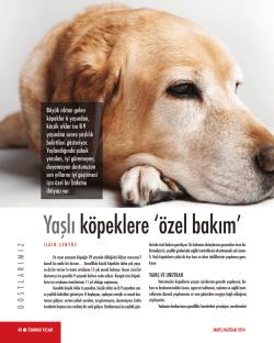 &ouml;zel bakım