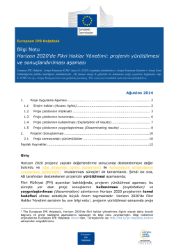 projenin y&uuml;r&uuml;t&uuml;lmesi ve sonu&ccedil;landırılması aşaması - AİA