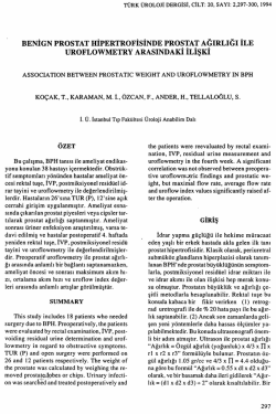 Tam Metin (PDF)