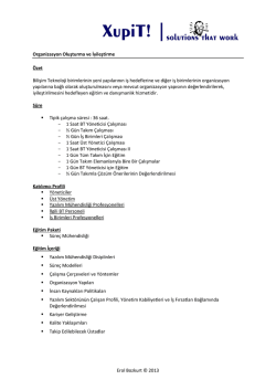 Organizasyon Yapısı Değerlendirme, İyileştirme ve