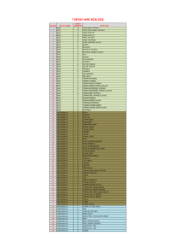 25.000 &Ouml;l&ccedil;ekli Topoğrafik Veriler