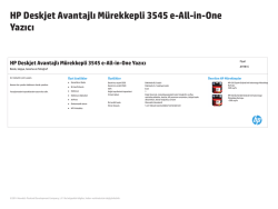 IPG Fact Tag 26x7 cm - HP - Hewlett