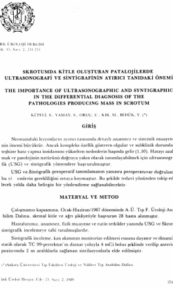 Tam Metin (PDF)