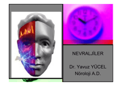 NEVRALJİLER Dr. Yavuz Y&Uuml;CEL N&ouml;roloji A.D.