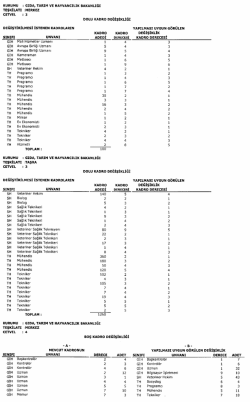Kararın Eki - Resmi Gazete