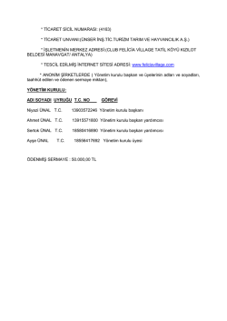 Kurumsal Yapı - Felicia Village