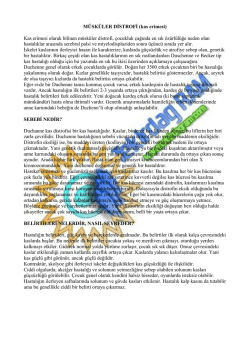 M&Uuml;SK&Uuml;LER DİSTROFİ (kas erimesi) Kas erimesi olarak bilinen