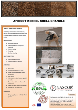 APRICOT KERNEL SHELL GRANULE